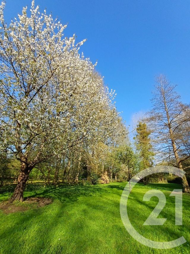 maison à vendre - 7 pièces - 186.78 m2 - CLOYES LES TROIS RIVIERES - 28 - CENTRE - Century 21 Doussain Philippon Immobilier