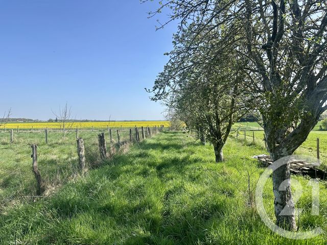 terrain - MEZIERES AU PERCHE - 28