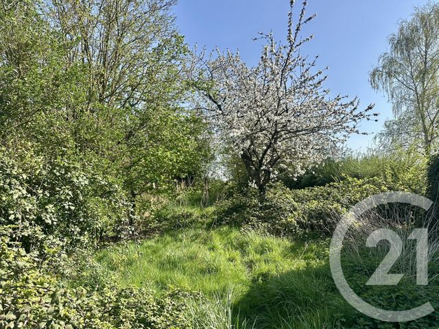 terrain à vendre - 606.0 m2 - MEZIERES AU PERCHE - 28 - CENTRE - Century 21 Doussain Philippon Immobilier