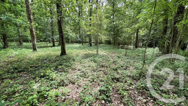 maison à vendre - 5 pièces - 195.87 m2 - ST MAUR SUR LE LOIR - 28 - CENTRE - Century 21 Doussain Philippon Immobilier