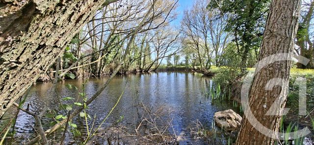 maison à vendre - 6 pièces - 162.33 m2 - LUPLANTE - 28 - CENTRE - Century 21 Doussain Philippon Immobilier