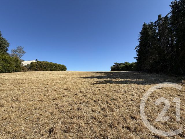terrain - MOLEANS - 28